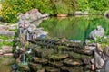Old pond in garden Royalty Free Stock Photo