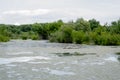 Old pond turned into swamps. Royalty Free Stock Photo