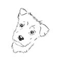 The old poor mangy dog look sad and lonely., mongrel, abandoned dog, vector sketch illustration Royalty Free Stock Photo