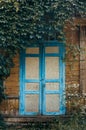 old porch with double door. Overgrown with creepers