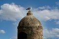 Old portuguese architecture in Essaouira mogador in Morocco