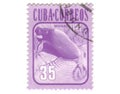 Old postage stamp from Cuba Royalty Free Stock Photo