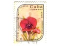 Old postage stamp from Cuba Royalty Free Stock Photo