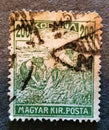 an old postage stamp from Hungary 1917 with the image of some peasants in the field Royalty Free Stock Photo