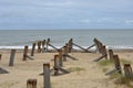 Old posts going out to sea Royalty Free Stock Photo