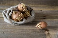 Old potato bulbs with young sprouts ready for planting Royalty Free Stock Photo