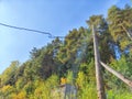 Old power line pole against blue sky in sunny day Royalty Free Stock Photo