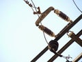 Old power transmission lines, closeup, clear sky, energy concept