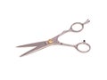 Old professional barber scissors metallic color