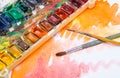 Old professional watercolor paints