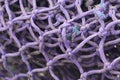 Purple nylon fishing net