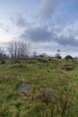 Visiting the Old Rahoon cemetery Royalty Free Stock Photo