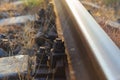 Old rail fastening to sleepers Royalty Free Stock Photo