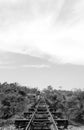 Old rail train road black and white vertical background photo Royalty Free Stock Photo