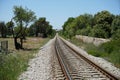 An old railroad facility with partially rotted railroad wagons