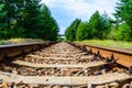 Old railroad in forest on summer