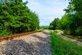 Old railroad in forest on summer