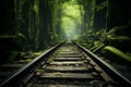 Old Railroad tunnel to horizon in green forest