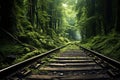 Old Railroad tunnel to horizon in green forest