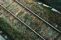 Old Rails and Green Moss Royalty Free Stock Photo