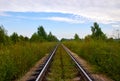 Old rails in landscape. Railway to horizon