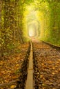 Old Rails in the Ukrainian Tunnel of Love