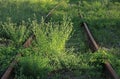 The old railway. Abandoned rusty and inactive railway track