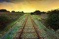 Old railway through the African semi desert landscape