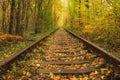 Old railway through the autumn forest. Famous Tunnel of love formed by trees. Klevan, Rivnenska obl. Ukraine Royalty Free Stock Photo