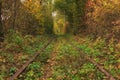 Old railway through the autumn forest. Famous Tunnel of love formed by trees. Klevan, Rivnenska obl. Ukraine Royalty Free Stock Photo