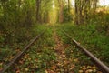 Old railway through the autumn forest. Famous Tunnel of love formed by trees. Klevan, Rivnenska obl. Ukraine Royalty Free Stock Photo