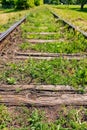 Old railway line covered with grass Royalty Free Stock Photo