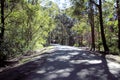 Old railway line on the Fernleigh Track Royalty Free Stock Photo