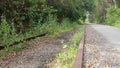 Old railway line on the Fernleigh Track Royalty Free Stock Photo
