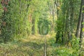 Old railway line. Nature with the help of trees has created a unique tunnel. Tunnel of love - wonderful place created by nature Royalty Free Stock Photo