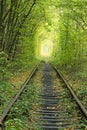 Old railway line. Nature with the help of trees has created a unique tunnel. Tunnel of love - wonderful place created by nature Royalty Free Stock Photo