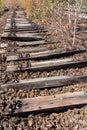 Old railway, railroad, rail track , abandoned, destroyed and overgrown wood Royalty Free Stock Photo