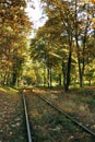 Old railway track in autumn landscape with fallen leaves. Railroad in the autumn forest Royalty Free Stock Photo