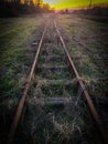 Old railway track in the forest, in sunset Royalty Free Stock Photo