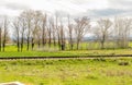 Old railway track of the silver route as it passes through a simple landscape with trees and green grass in Zamora. Spain. Royalty Free Stock Photo