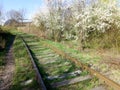 Old railway track Royalty Free Stock Photo