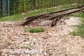 Old railway track in urban city. Vintage railroad. Close view of old railroad tracks with worn ties and gravel ballast. Royalty Free Stock Photo