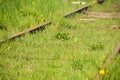 Old railway tracks overgrown with green grass