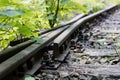 Old railway tracks overgrown with trees. Forgotten railway line. Royalty Free Stock Photo