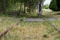 Old railway tracks overgrown with trees. Forgotten railway line. Royalty Free Stock Photo