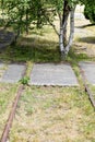 Old railway tracks overgrown with trees. Forgotten railway line. Royalty Free Stock Photo