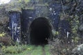 Old railway tunnel with road, Slovakia