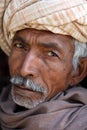 Old Rajasthani man in Jaisalmer, India Royalty Free Stock Photo