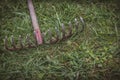Old rake abandoned lying in green grass in summer. Royalty Free Stock Photo