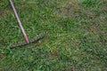 Old rake abandoned lying in green grass in summer. Royalty Free Stock Photo